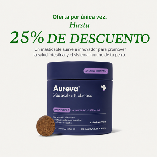 Masticables Probioticos Para Perros