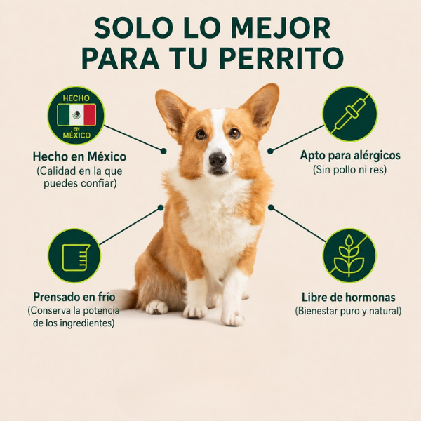 Suplemento para las articulaciones