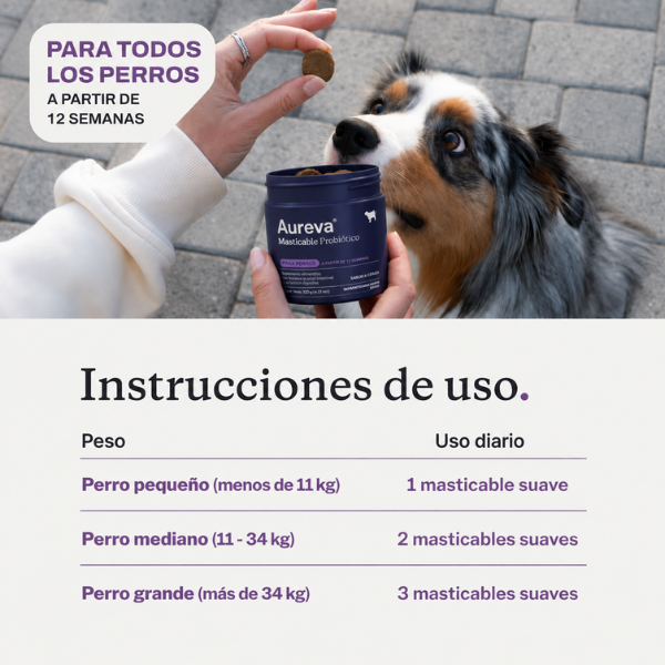 Premio suave con probióticos
