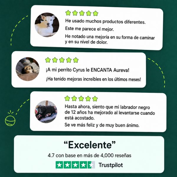 Suplemento para las articulaciones
