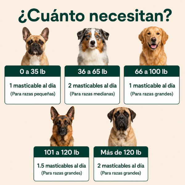 Suplemento para las articulaciones