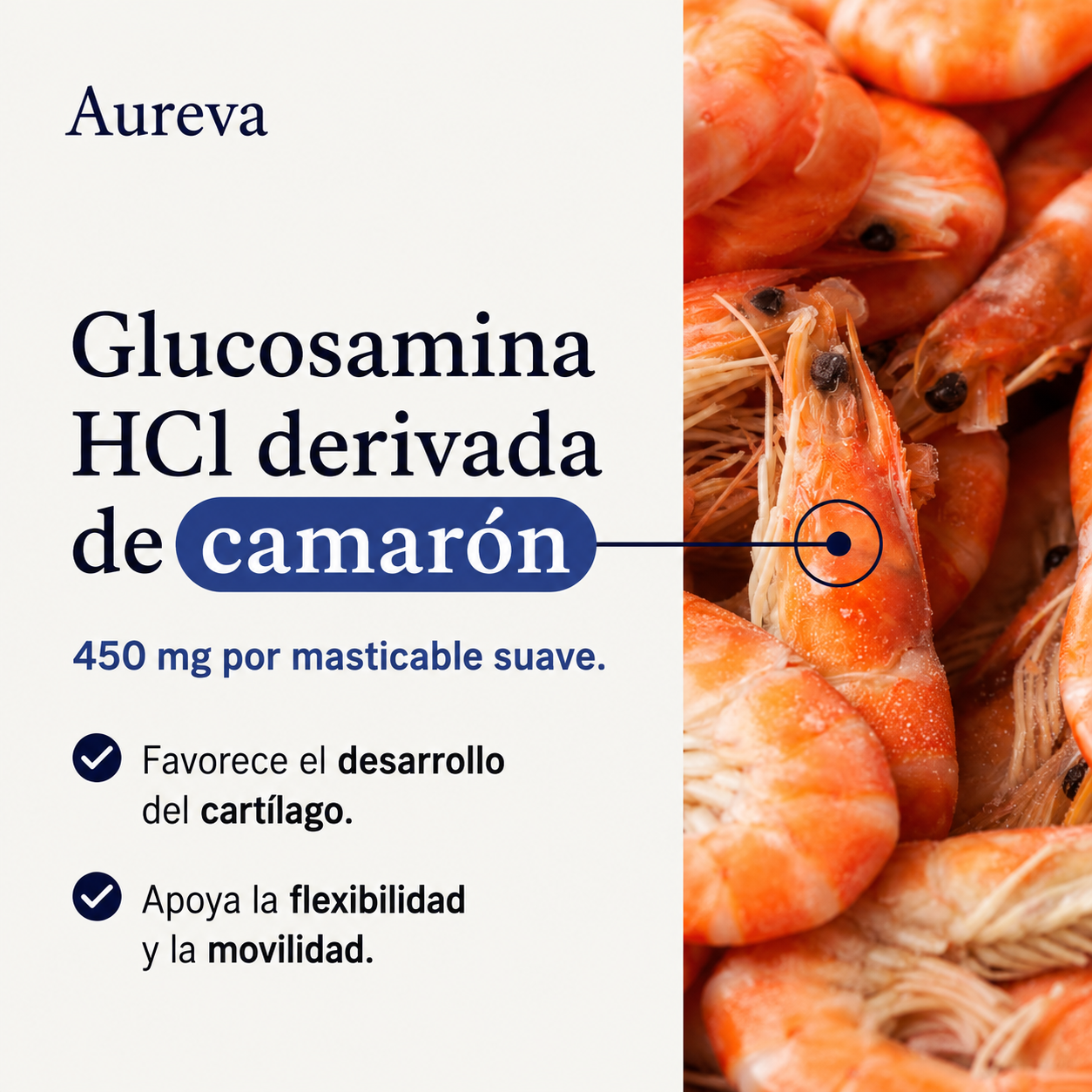 Premios para el cuidado de las articulaciones