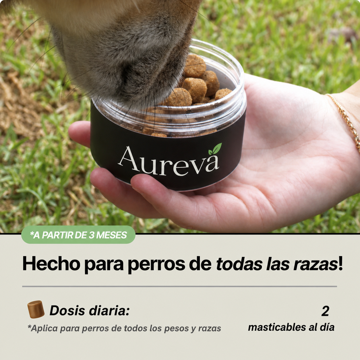 Aureva Masticable de Nutrición Diario para Perros
