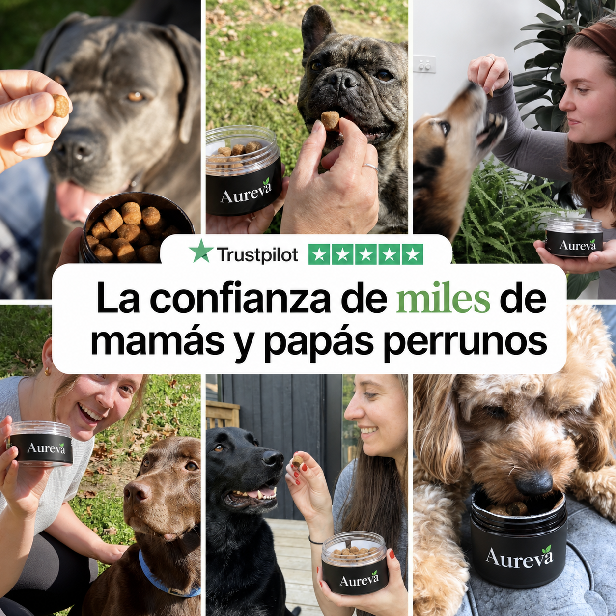 Aureva Masticable de Nutrición Diario para Perros